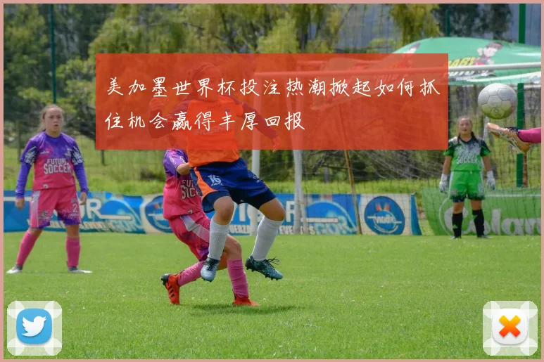 美加墨世界杯投注热潮掀起如何抓住机会赢得丰厚回报